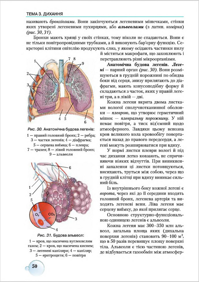 Підручник Біологія 8 клас Страшко 2016