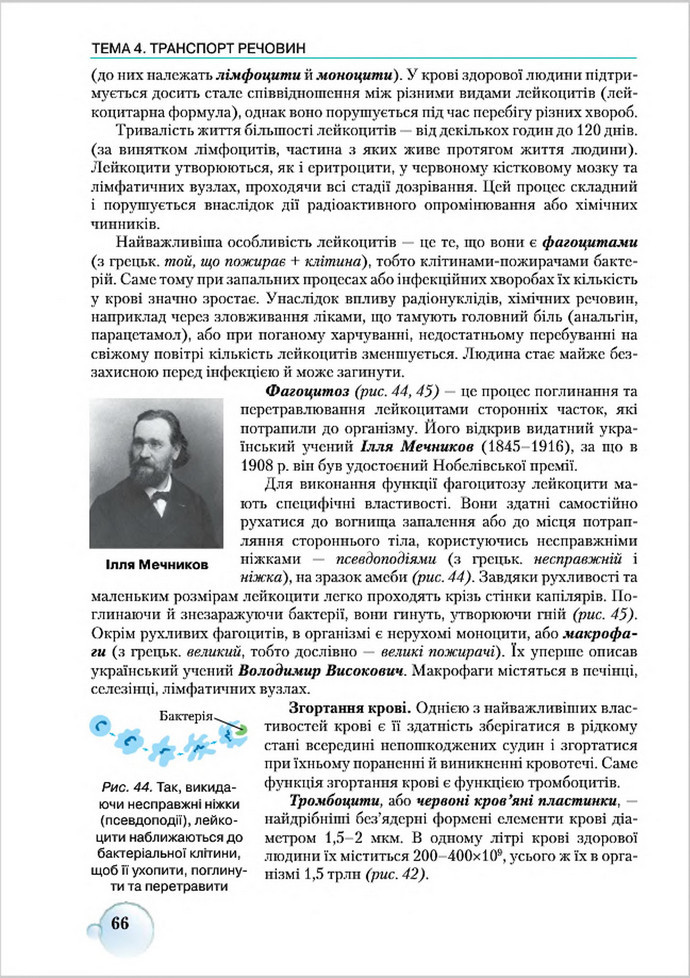 Підручник Біологія 8 клас Страшко 2016