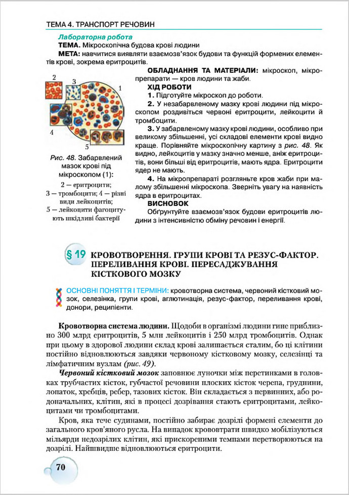 Підручник Біологія 8 клас Страшко 2016