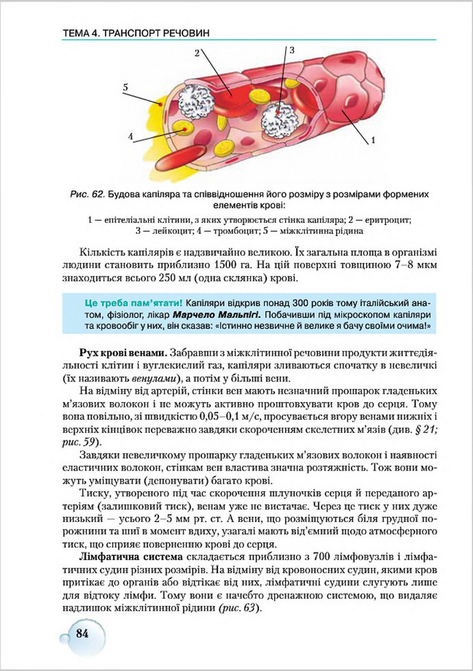 Підручник Біологія 8 клас Страшко 2016