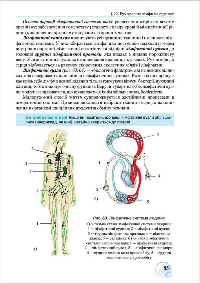 Підручник Біологія 8 клас Страшко 2016