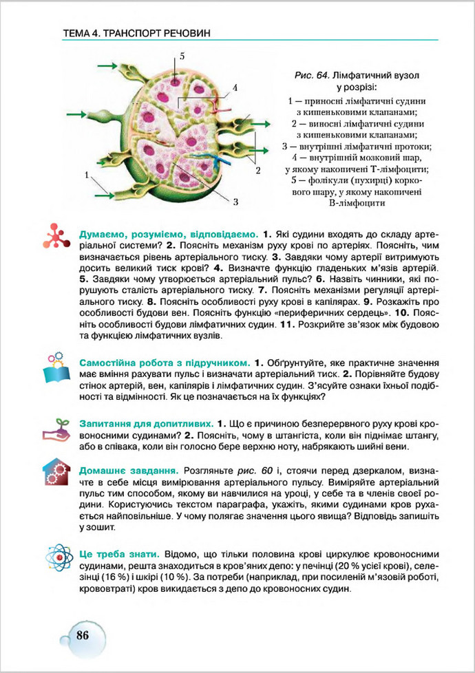 Підручник Біологія 8 клас Страшко 2016