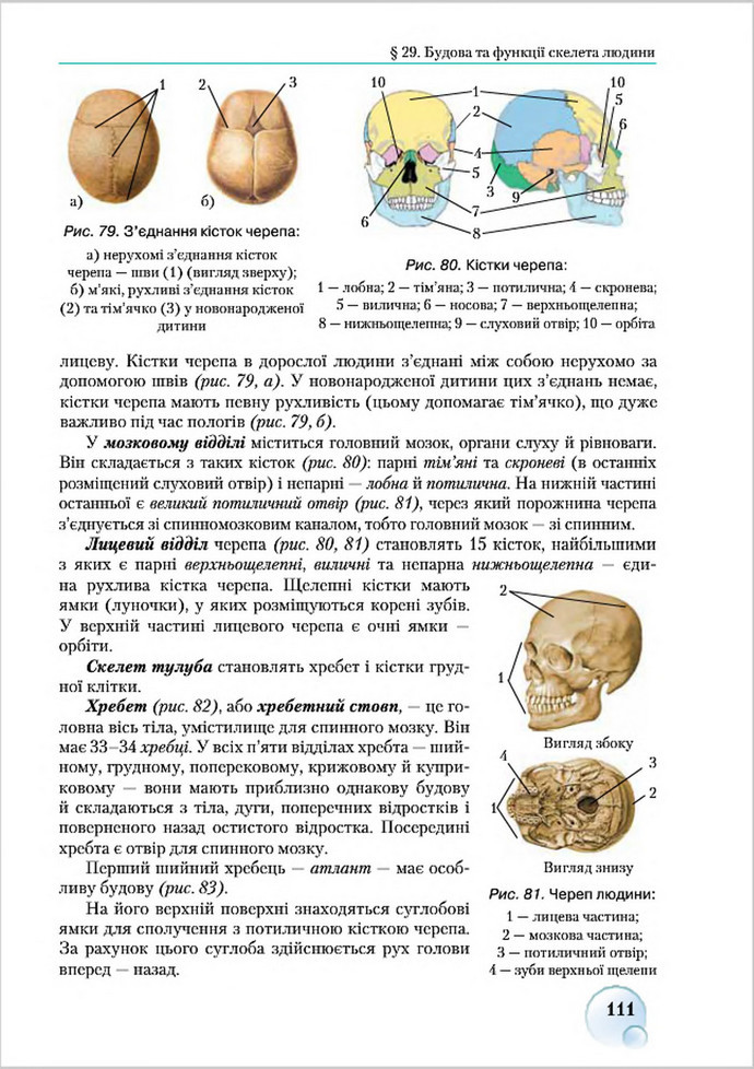 Підручник Біологія 8 клас Страшко 2016