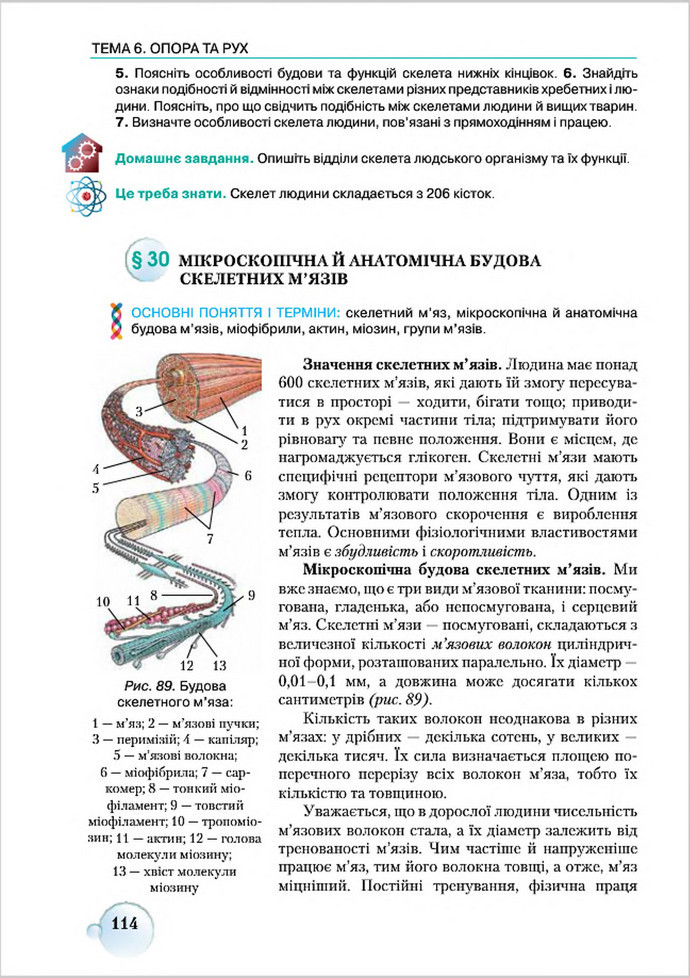 Підручник Біологія 8 клас Страшко 2016