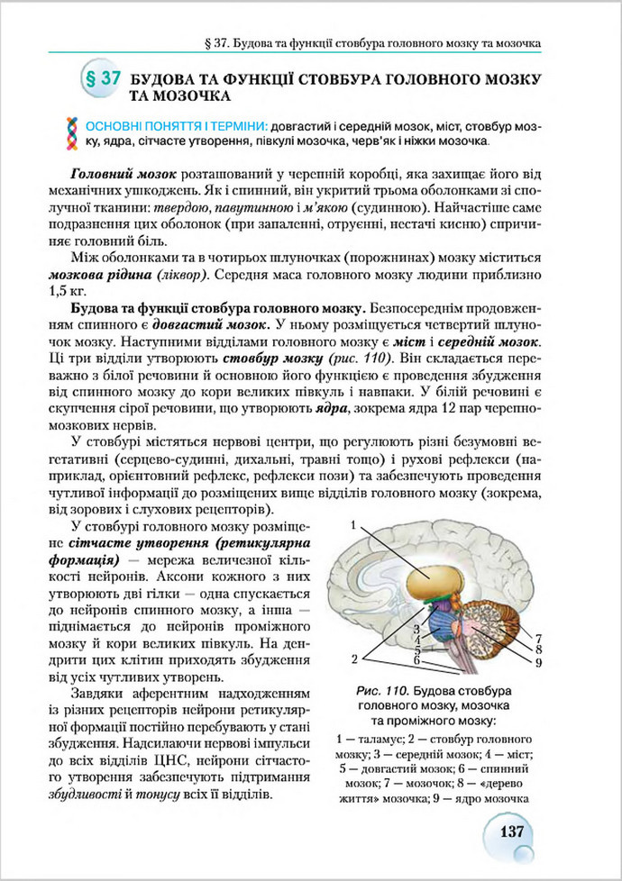 Підручник Біологія 8 клас Страшко 2016