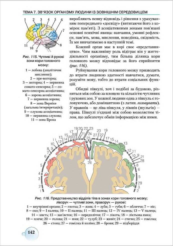 Підручник Біологія 8 клас Страшко 2016