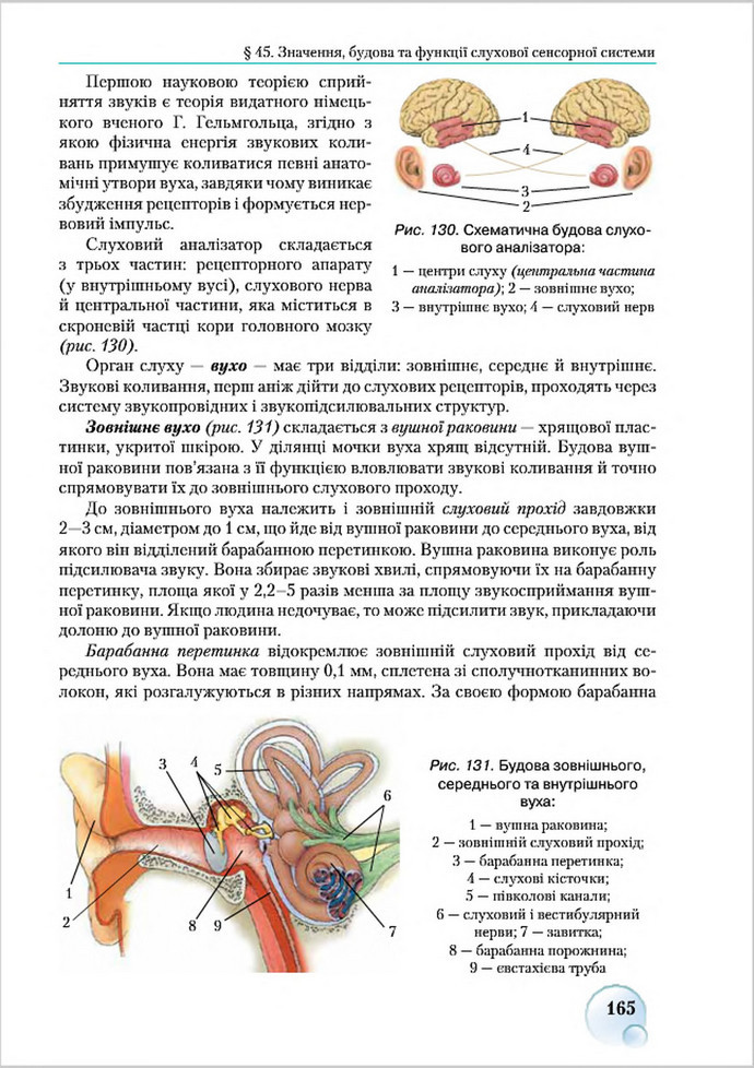 Підручник Біологія 8 клас Страшко 2016