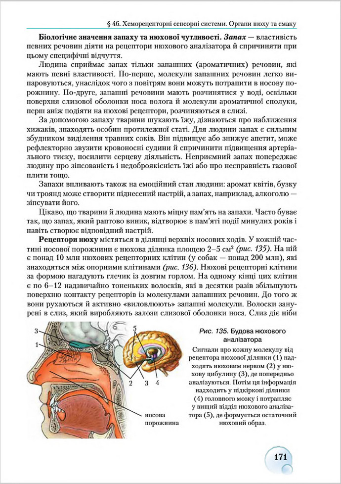 Підручник Біологія 8 клас Страшко 2016