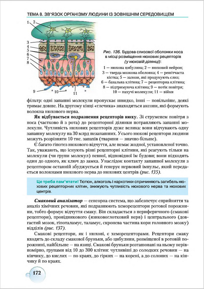 Підручник Біологія 8 клас Страшко 2016