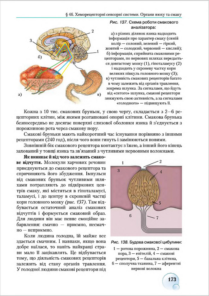 Підручник Біологія 8 клас Страшко 2016