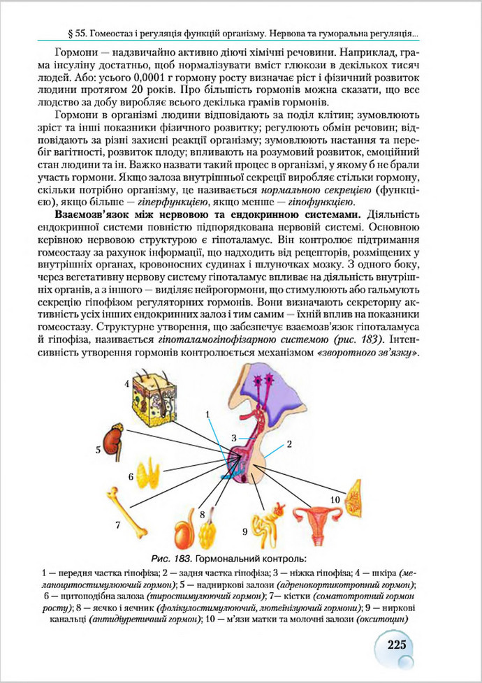 Підручник Біологія 8 клас Страшко 2016