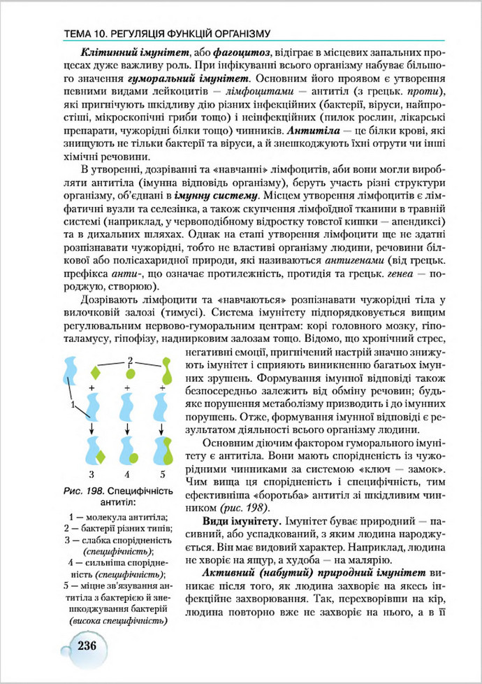 Підручник Біологія 8 клас Страшко 2016