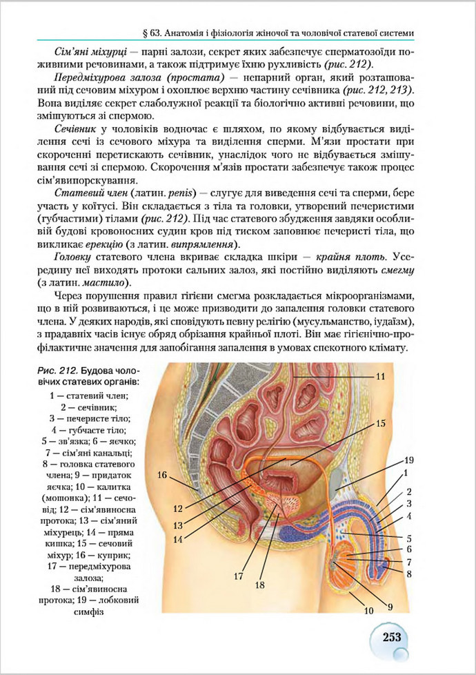 Підручник Біологія 8 клас Страшко 2016