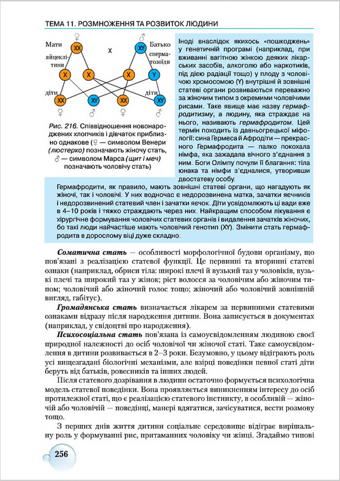 Підручник Біологія 8 клас Страшко 2016