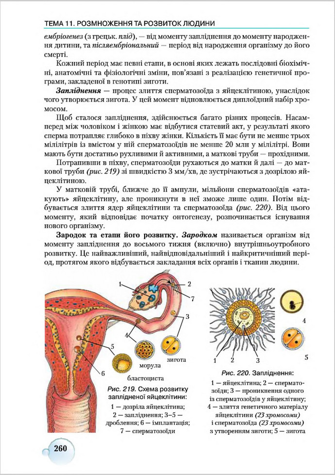 Підручник Біологія 8 клас Страшко 2016