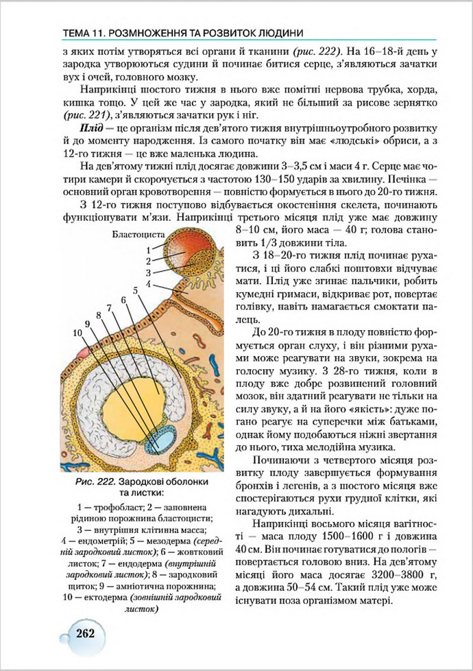 Підручник Біологія 8 клас Страшко 2016