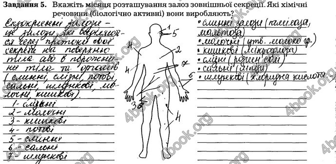 Відповіді Зошит Біологія 8 клас Мирна. ГДЗ