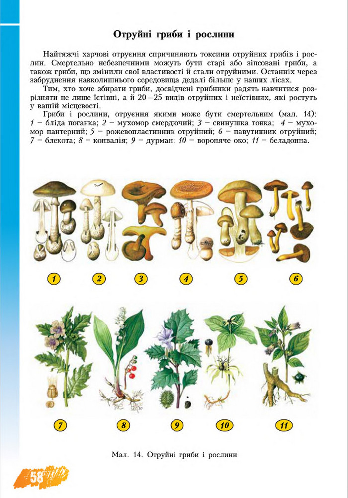 Підручник Основи здоров’я 8 клас Бех 2016