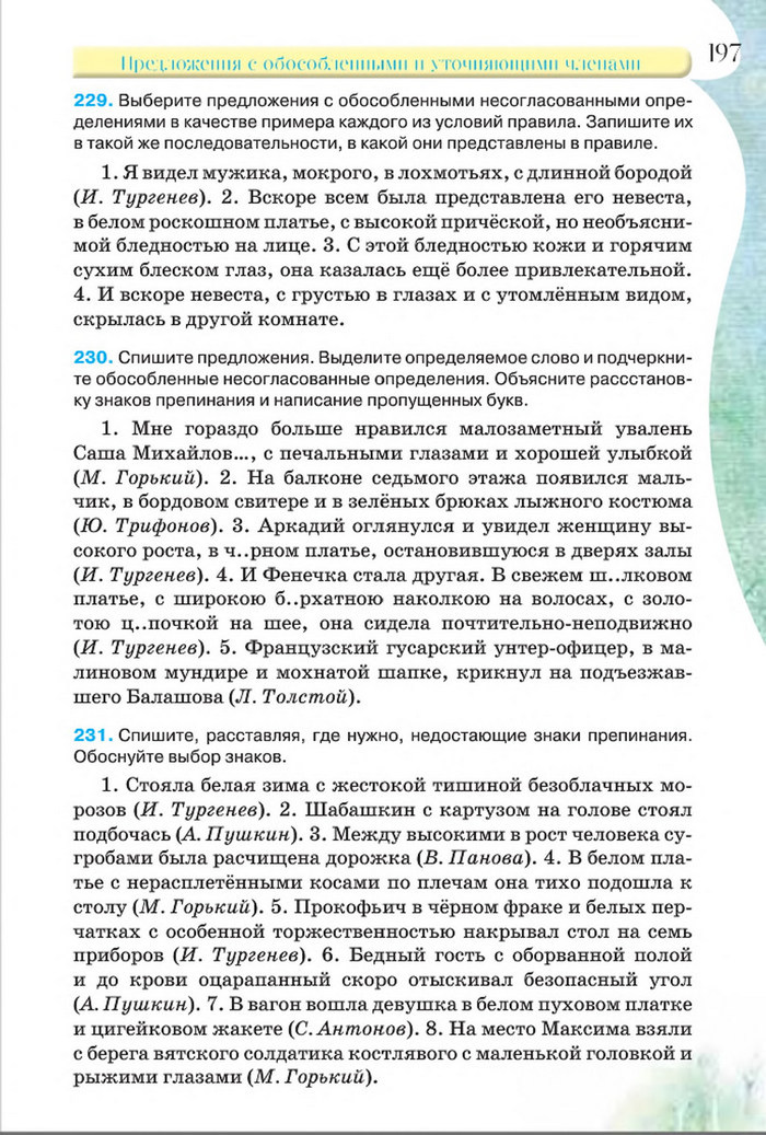 Русский язык 8 класс Давидюк 2016