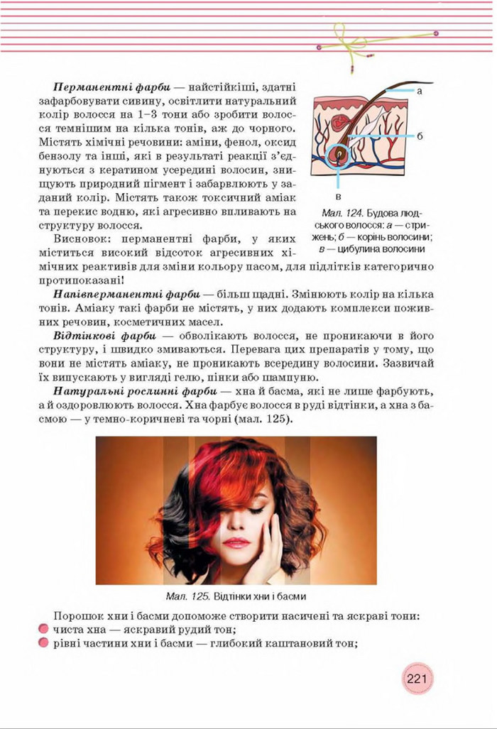 Трудове навчання 8 клас Мачача
