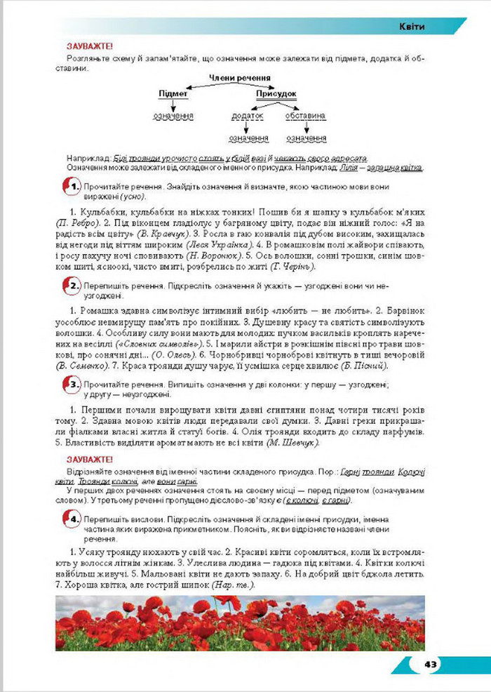 Підручник Українська мова 8 клас Авраменко 2016