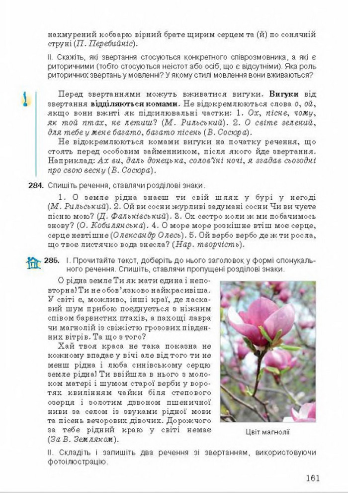 Українська мова 8 класс Ворон 2016