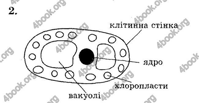 Відповіді Зошит контроль Біологія 6 клас Балан. ГДЗ