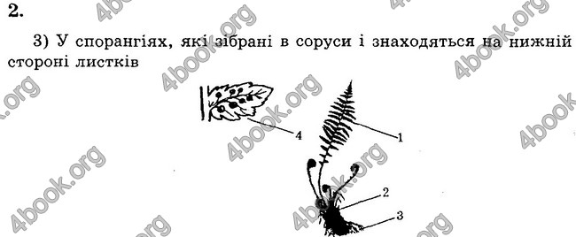 Відповіді Зошит практични Біологія 6 клас Яковлева. ГДЗ