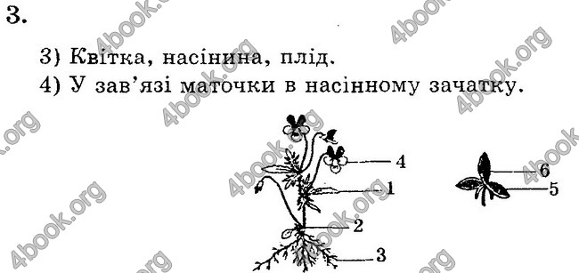 Відповіді Зошит практични Біологія 6 клас Яковлева. ГДЗ