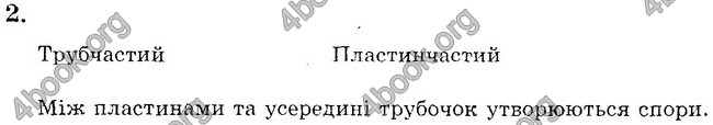 Відповіді Зошит практични Біологія 6 клас Яковлева. ГДЗ