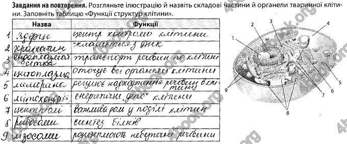 Відповіді Зошит Біологія 8 клас Соболь. ГДЗ