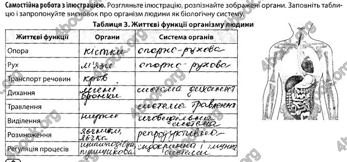 Відповіді Зошит Біологія 8 клас Соболь. ГДЗ