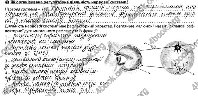 Відповіді Зошит Біологія 8 клас Соболь. ГДЗ