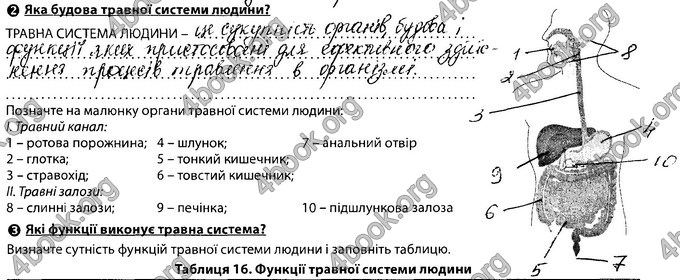 Відповіді Зошит Біологія 8 клас Соболь. ГДЗ