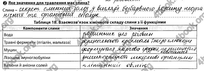 Відповіді Зошит Біологія 8 клас Соболь. ГДЗ