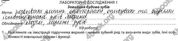 Відповіді Зошит Біологія 8 клас Соболь. ГДЗ