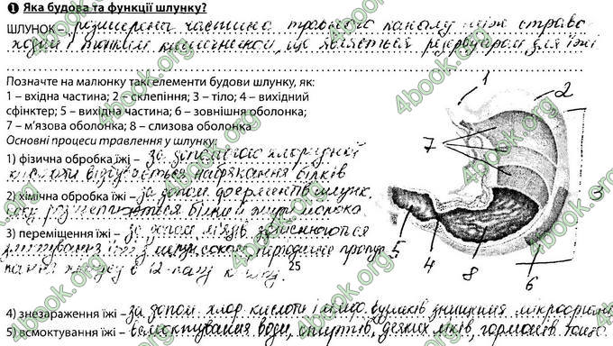 Відповіді Зошит Біологія 8 клас Соболь. ГДЗ