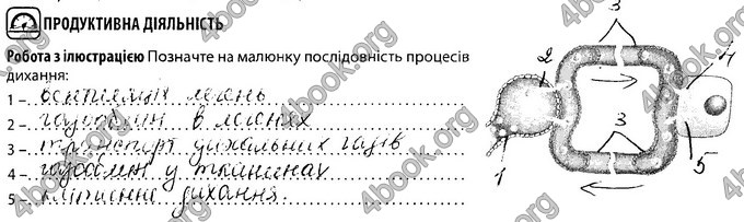 Відповіді Зошит Біологія 8 клас Соболь. ГДЗ