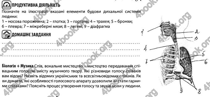 Відповіді Зошит Біологія 8 клас Соболь. ГДЗ