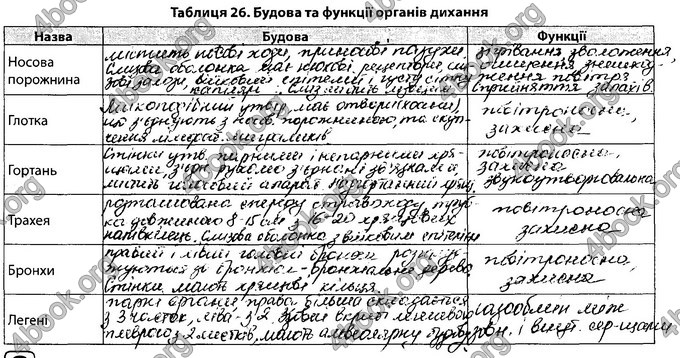 Відповіді Зошит Біологія 8 клас Соболь. ГДЗ