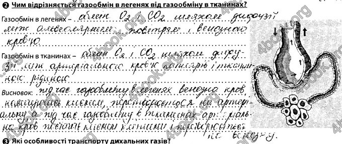 Відповіді Зошит Біологія 8 клас Соболь. ГДЗ