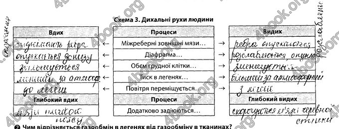 Відповіді Зошит Біологія 8 клас Соболь. ГДЗ