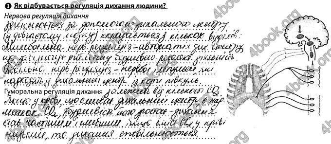 Відповіді Зошит Біологія 8 клас Соболь. ГДЗ