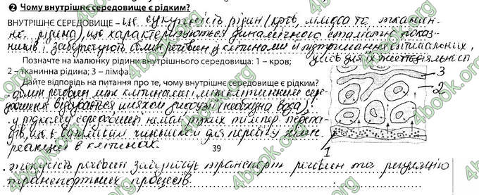 Відповіді Зошит Біологія 8 клас Соболь. ГДЗ