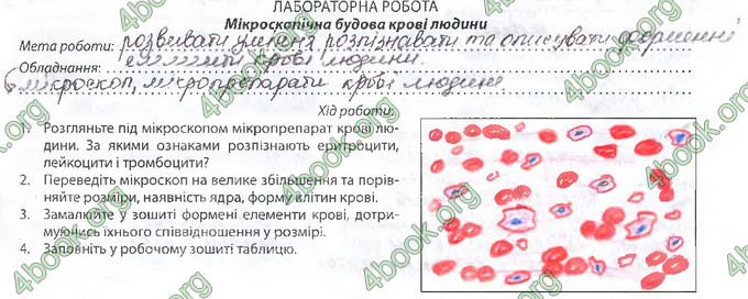 Відповіді Зошит Біологія 8 клас Соболь. ГДЗ