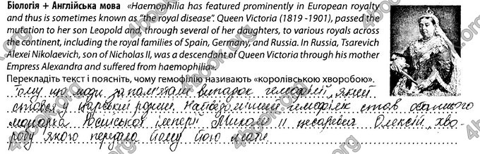 Відповіді Зошит Біологія 8 клас Соболь. ГДЗ