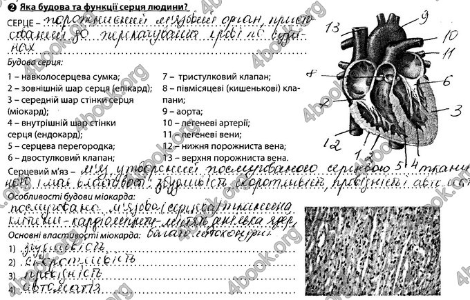 Відповіді Зошит Біологія 8 клас Соболь. ГДЗ