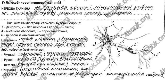 Відповіді Зошит Біологія 8 клас Соболь. ГДЗ