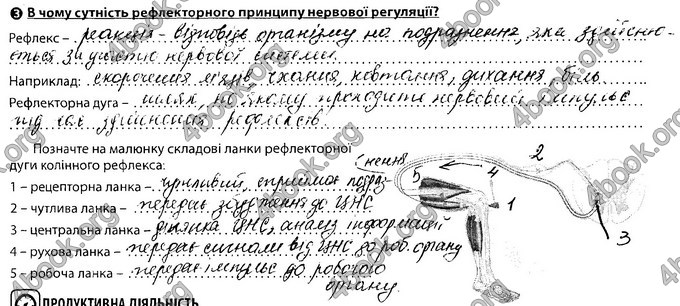 Відповіді Зошит Біологія 8 клас Соболь. ГДЗ