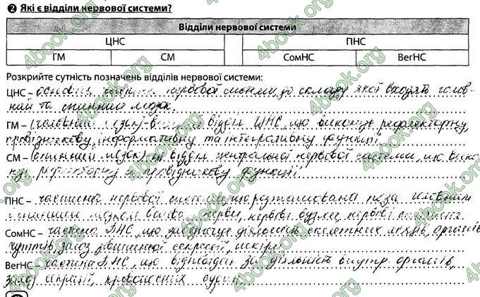 Відповіді Зошит Біологія 8 клас Соболь. ГДЗ